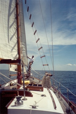 sailing, tending the sails